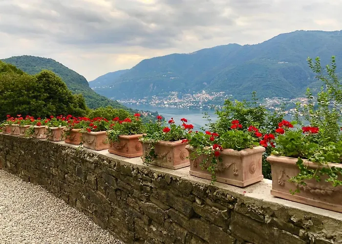 Le Ortensie Faggeto Lario