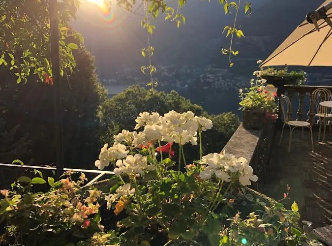 Bed & Breakfast Le Ortensie