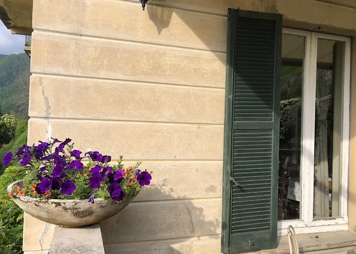 Bed & Breakfast Le Ortensie 3*