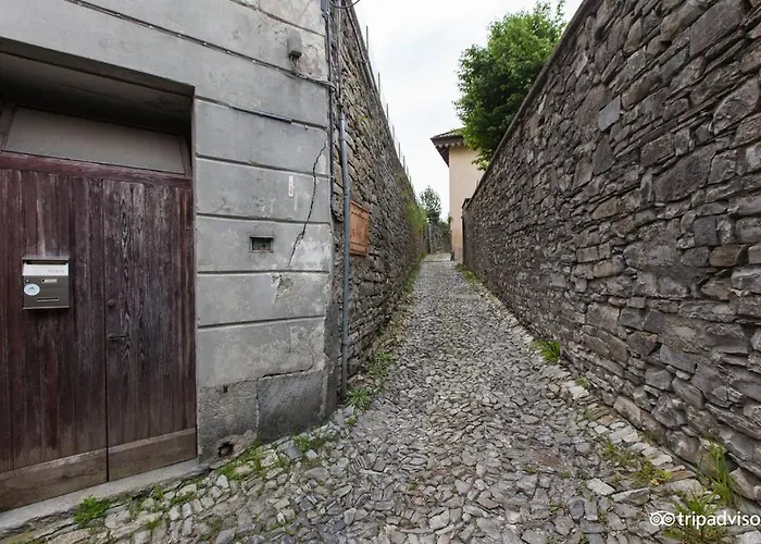 Le Ortensie 3* Faggeto Lario